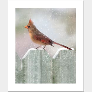 Female Cardinal Snowy Day Posters and Art